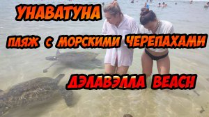 Пляж с морскими черепахами - Дэлавэлла beach на Шри-Ланке (Унаватуна)/ Виджайя beach