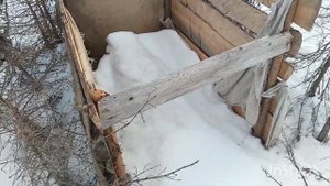 Охота в Архангельской области Пинежском р-не на гуся  . Поездка за гусем по болоту на переломке Бар