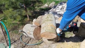 Цепная пила аккумуляторная с aliexpress.  Шина 12 дюймов. (1)