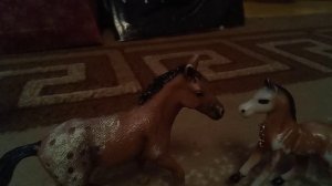 вызов принят лошади шляйх