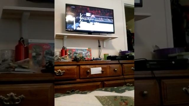 Roman reigns vs Shawn Michaels for the www world heavy weight championship