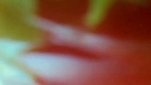 Будильник- это полчаса на песни и рассказы(наброски)