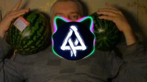 Генадий Горин - Хороши арбузы (BASS REMIX)