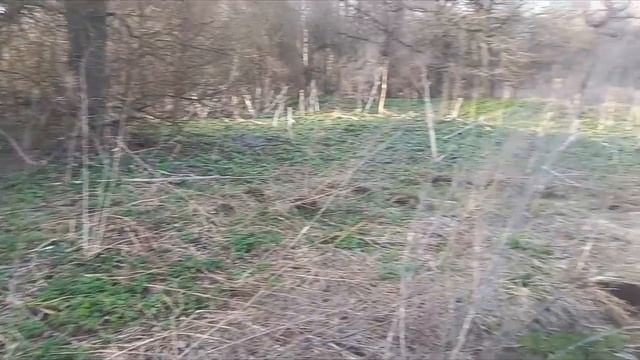 Выезд с ночёвкой за МЕТАЛЛОМ! В другую область, чтобы накопать целый прицеп хорошего металла!!! смотреть онлайн