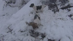 Кто это тут у нас появился? Жизнь в деревне.