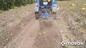 Копання картоплі мототрактором скаут т-24