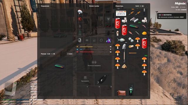 Majestic RolePla San Francisco кейсы 2025-02-01 18-44-56