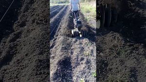 Нарезка бугров мотоблоком