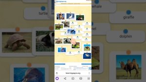 Бесплатные платформы для изучения иностранного языка