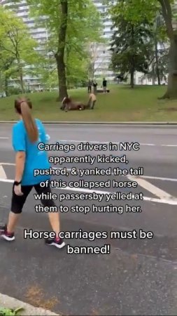 Horse Carriages Must Be Banned #shorts