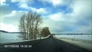 В Татарстане косуля попыталась обогнать автомобиль