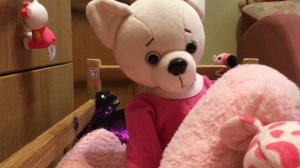 Утро лаки доги Джули! Как Джуля просыпается