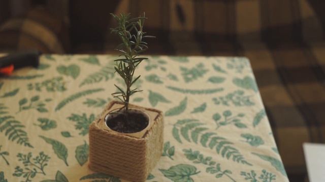 Жизнь в маленькой квартирке | Новая посуда