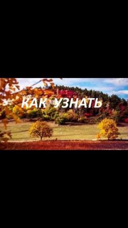 КАК  УЗНАТЬ
