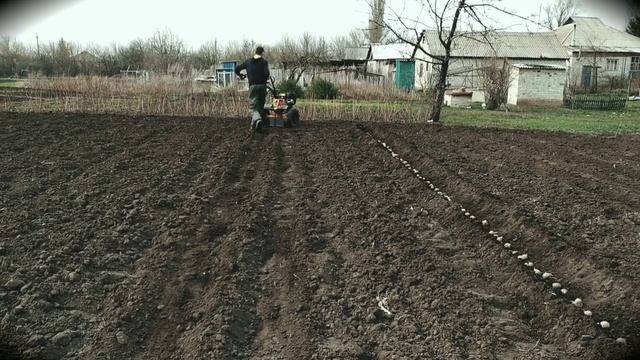Посадка картофеля легко и очень быстро!!!
