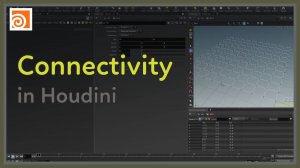 11 Connectivity in Houdini