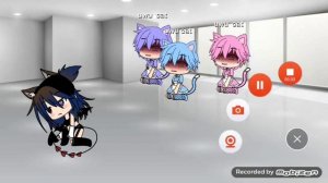 24hours with the uwu  cat ew