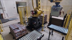 Robotic palletising of Tetra Pak packs (6x4x0.25l)