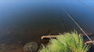 РЫБАЛКА на мирную рыбу