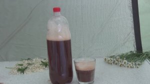 Рецепт ГАЗИРОВКИ. Просто и вкусно. Квас, лимонад в домашних условиях.