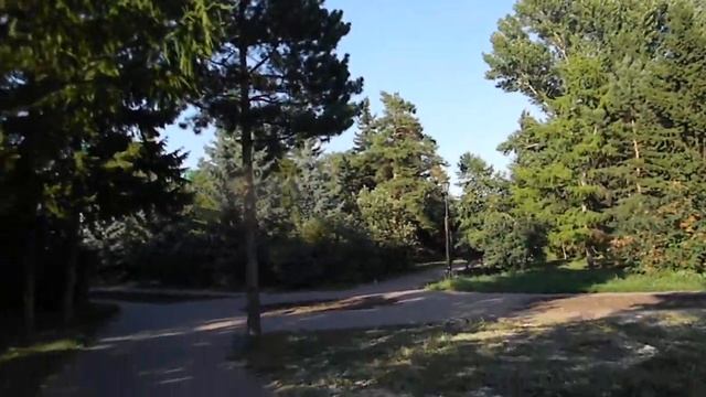 Омск 2020ть(6)