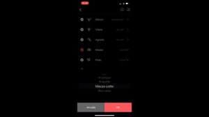 #010 Inkbird IBT 2X Bluetooth