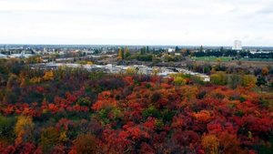 Осенние краски парка Агроуниверситета