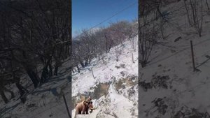 Пятигорск, гора Машук, канатка декабрь 2024