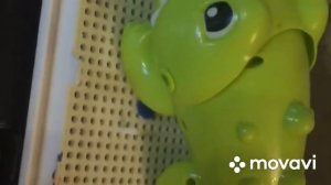 5 ночей с динозаврами 1 ночь