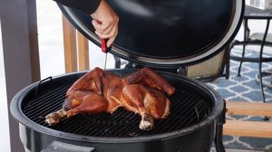 How to COOK the BEST TURKEY! [WEBER Summit Kamado E6 vs. Pit Barrel]
