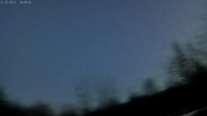 охота на вальдшнепа весной