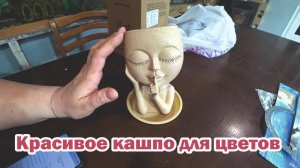 Обзор покупок с маркетплейсов: линейка-трансформер, кашпо, моющая насадка, наушники, справочник