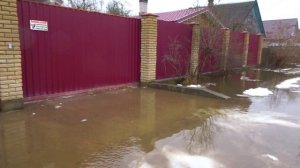 Потоп. Город Сланцы 29 января 2025г.