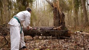 Silky Katanaboy 1000- pierwszy kontakt. Najdłuższa składana piła świata @SilkyEurope