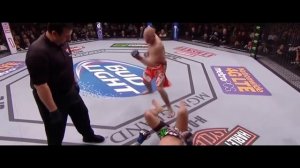 ТОП 5 САМЫХ ЖЕСТКИХ ЛОУ-КИКЕРОВ В UFC