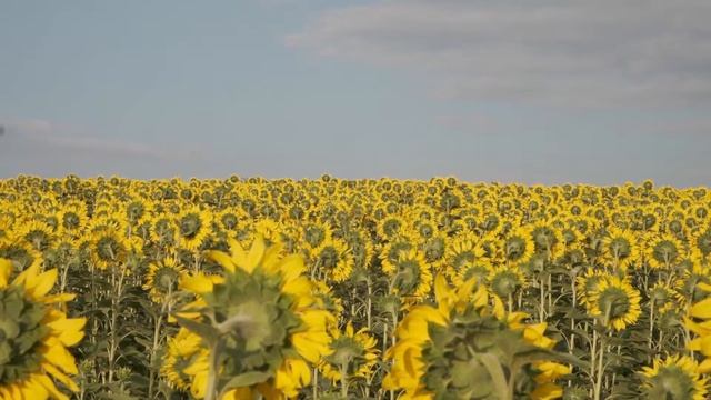 2 часа! Замечательная, изумительная, красивая музыка!