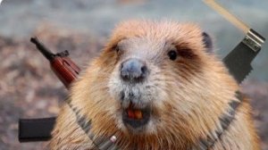 Хил климбер.