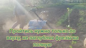 +40 в АПРЕЛЕ 😱. ЗАСАДИЛА один участок травами. ЧТО за КУКОЛКА_
