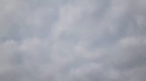 Красивый полёт: Бакинских широкохвостых и многопёрых  голубей.