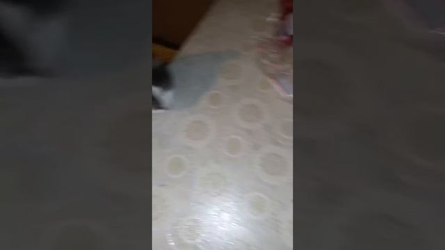 Готовлю окрошку) смотреть онлайн