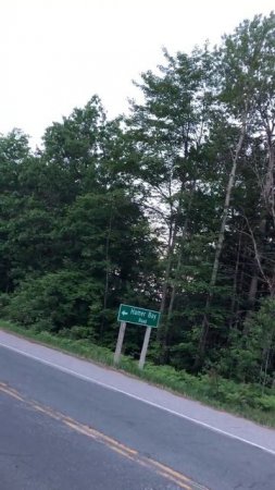 Black-billed Cuckoo calling near Mactier Ontario