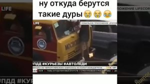Автоледи