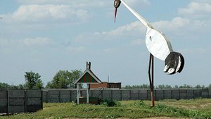 Стихотворение Надежды Ерофеевой "ЖУРАВЛЬ У ДОМА" (обновлённая версия)