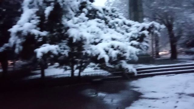 зима