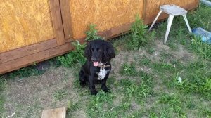 Баня 6х4. Опалубка.