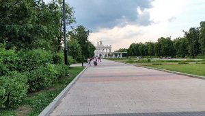 Крысы в центре Москвы! Рядом с ВДНХ
