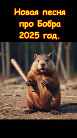 Новая песня про бобра (2025). Бобровый сон. Бобр. Кавер. Юмор. Шутки. Приколы. #морковкинтв #shorts