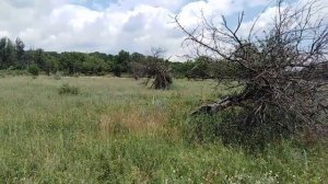 Запуск ракеты ,но ракета не взлетела