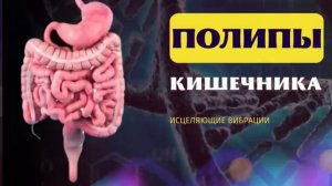 ПОЛИПЫ КИШЕЧНИКА*ИСЦЕЛЕНИЕ И ОЗДОРОВЛЕНИЕ ЖКТ