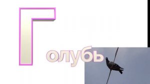 буква г голубь